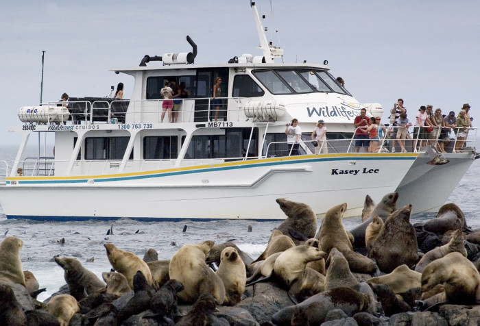 0Wildlife Coast Cruises image 1.jpg